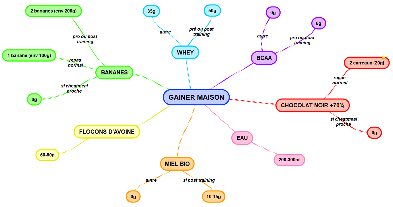 MindMap Gainer Maison.PNG