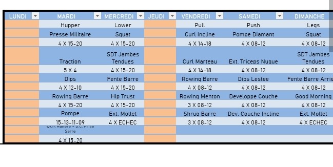 Ou vous préférez celui la <br />Parce que enft j'en ai fait 2<br />J'ai proposé le halfbody en premier parce que je me suis dit que 5jours d'entraînement c'est peut être beaucoup pour mon lvl<br />J'ai 1 an de musculation mais il s'agit d'un an d'irrégularités c'est ce qui m'inquiète <br />Svp comment je peut améliorer mes entraînements