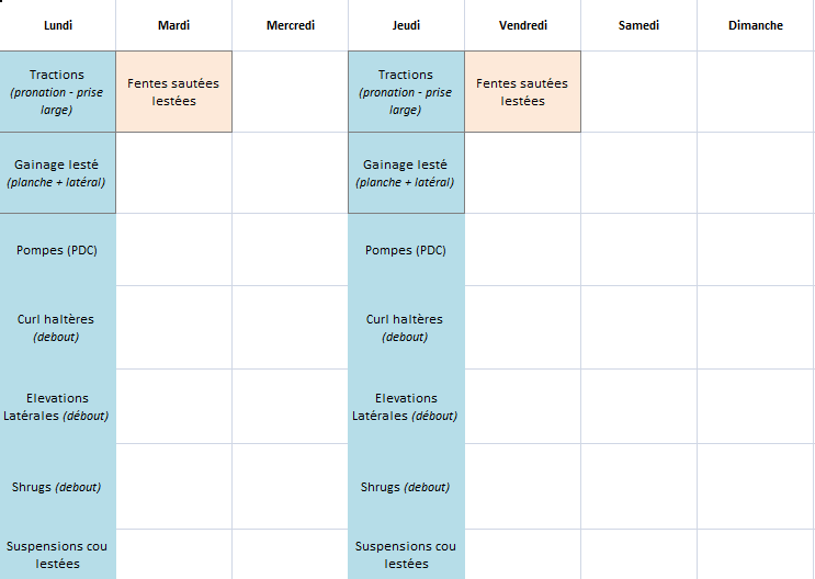 ancien programme