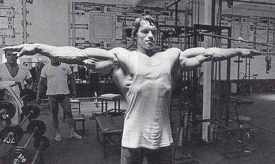 Arnold musculation