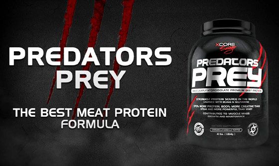 Predator Prey protéine