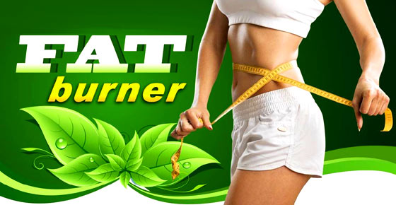 Brûleurs de graisse