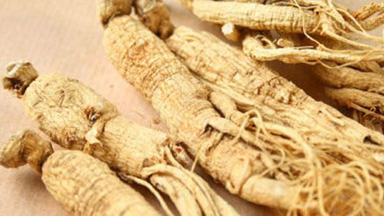 Ginseng
