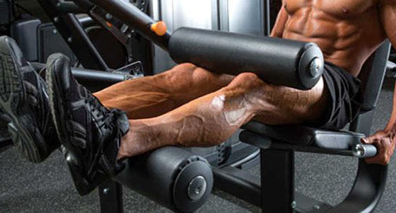 Programme Prise De Masse Basic Fit Exercices cuisses : Leg curl assis